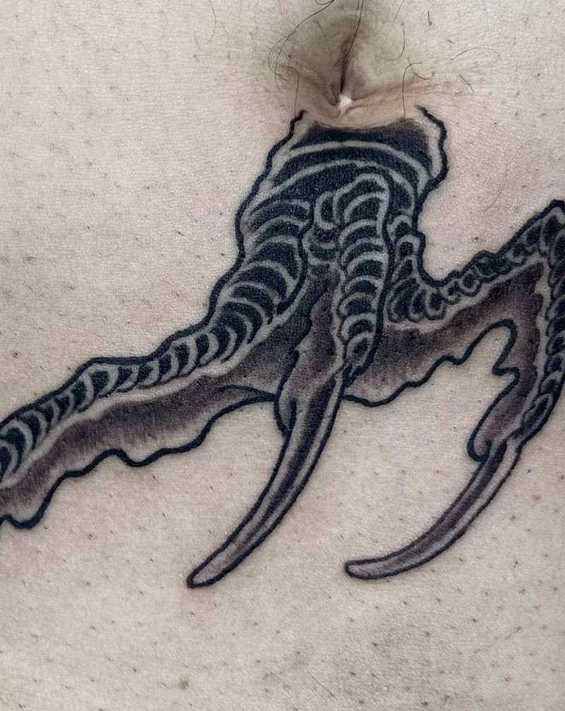 龙爪纹身图片_腹部新传统纹身图案