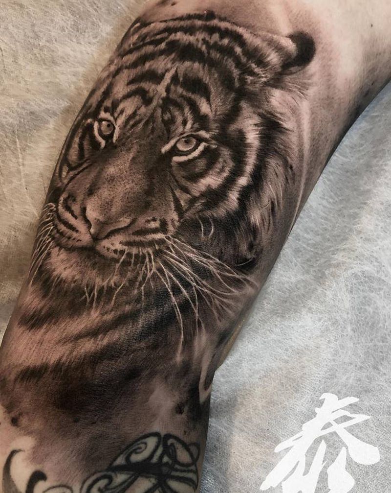 素描老虎纹身图片_手臂欧美写实纹身图案