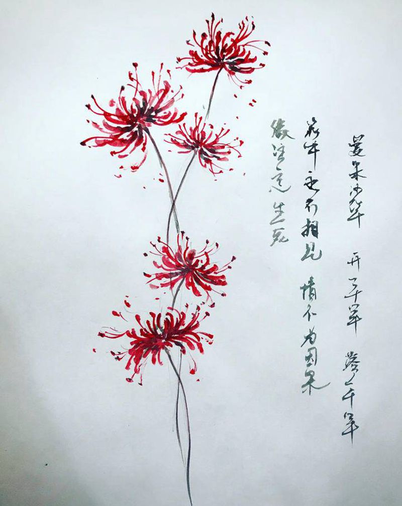 彼岸花 手稿纹身图片_腿部水彩水墨纹身图案