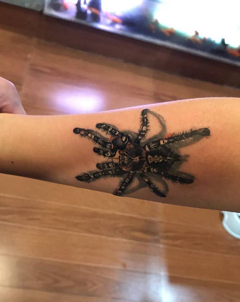 蜘蛛纹身图片_手臂欧美写实纹身图案