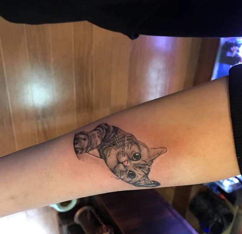 写实猫纹身图片_手臂欧美写实纹身图案