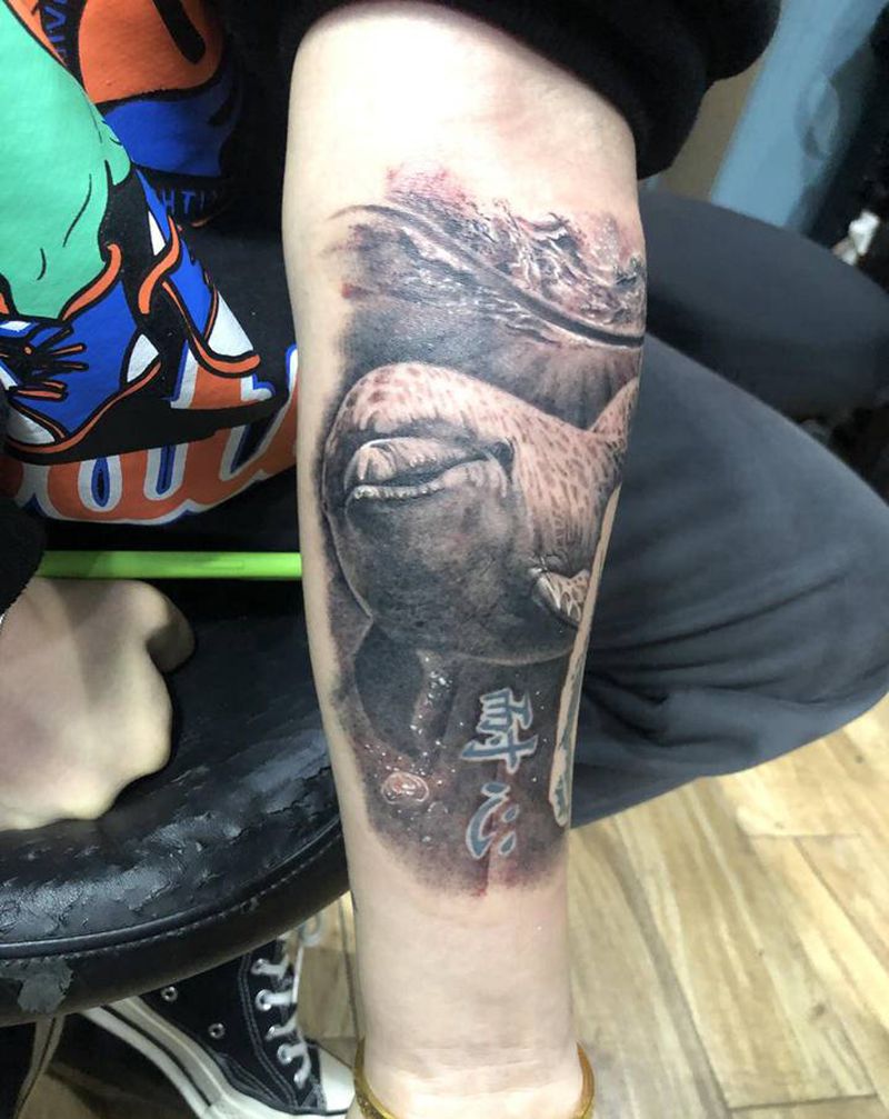 海豚纹身图片_手臂欧美写实纹身图案