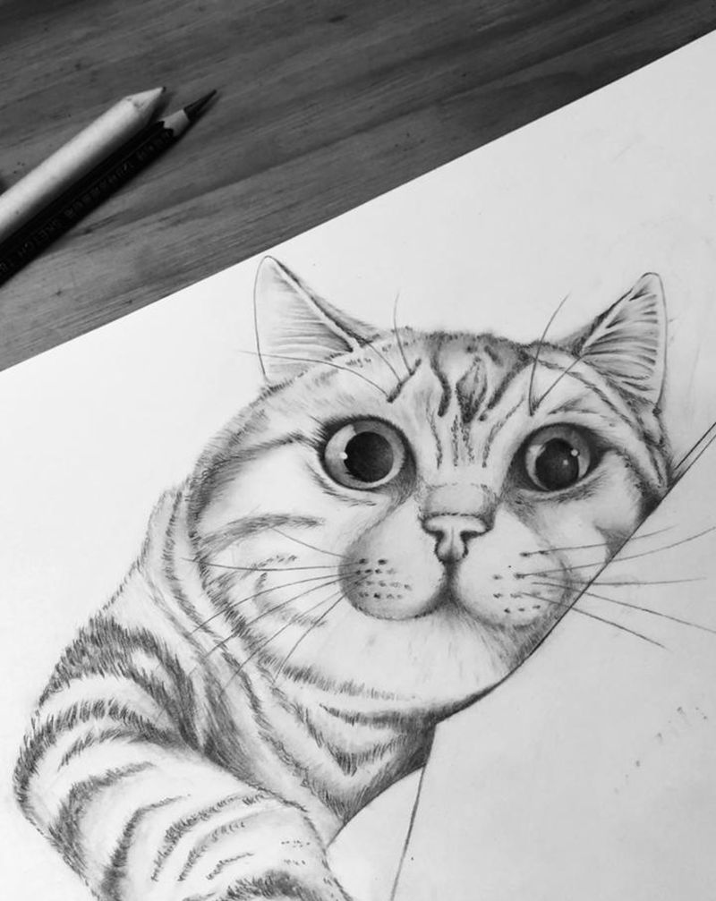 手绘 写实 猫咪纹身图片_手臂手部欧美写实点刺猫纹身图案