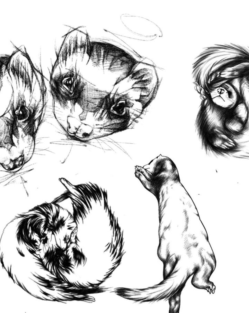 点刺纹身图片_点刺纹身图案