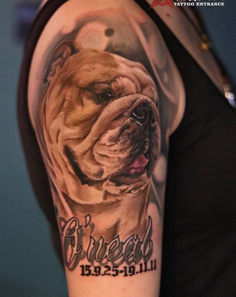 写实动物肖像纹身 狗纹身纹身图片_手臂欧美写实狗动物写实肖像纹身图案