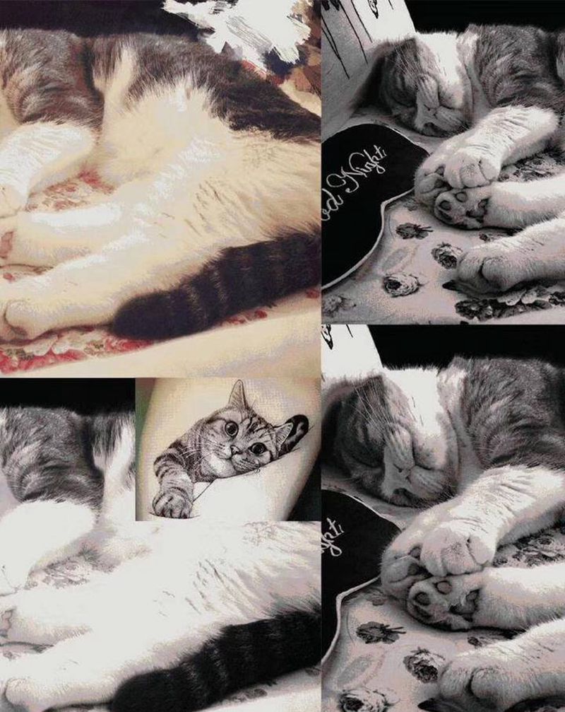 爱猫纹身图片_手臂写实纹身图案