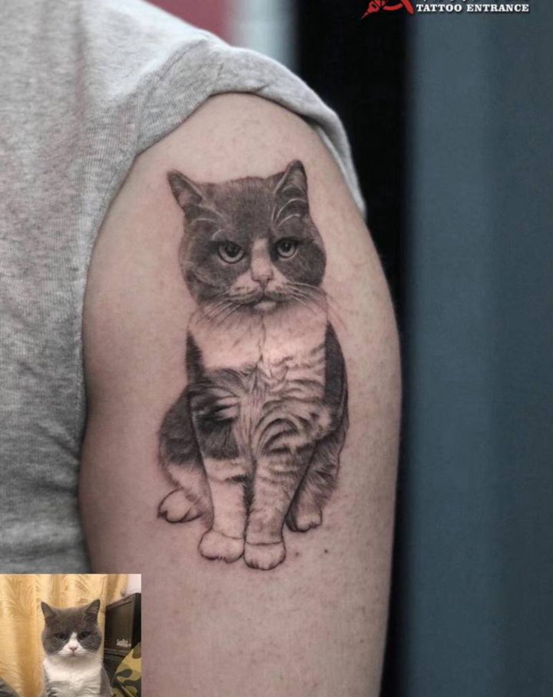 写实猫纹身图片_手臂欧美写实点刺猫猫咪喵星人纹身图案