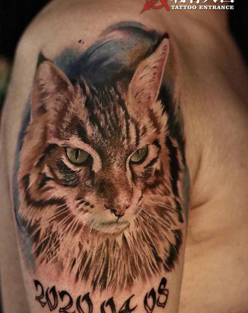 写实猫纹身纹身图片_手臂欧美写实猫写实宠物纹身图案