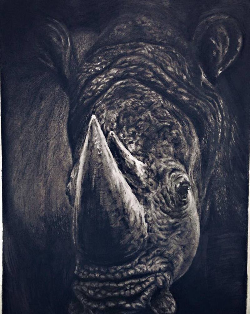 素描练习—犀牛纹身图片_欧美写实纹身图案