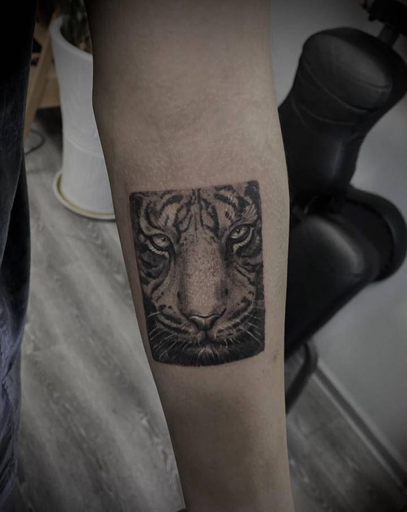 老虎纹身图片_手臂欧美写实老虎纹身图案