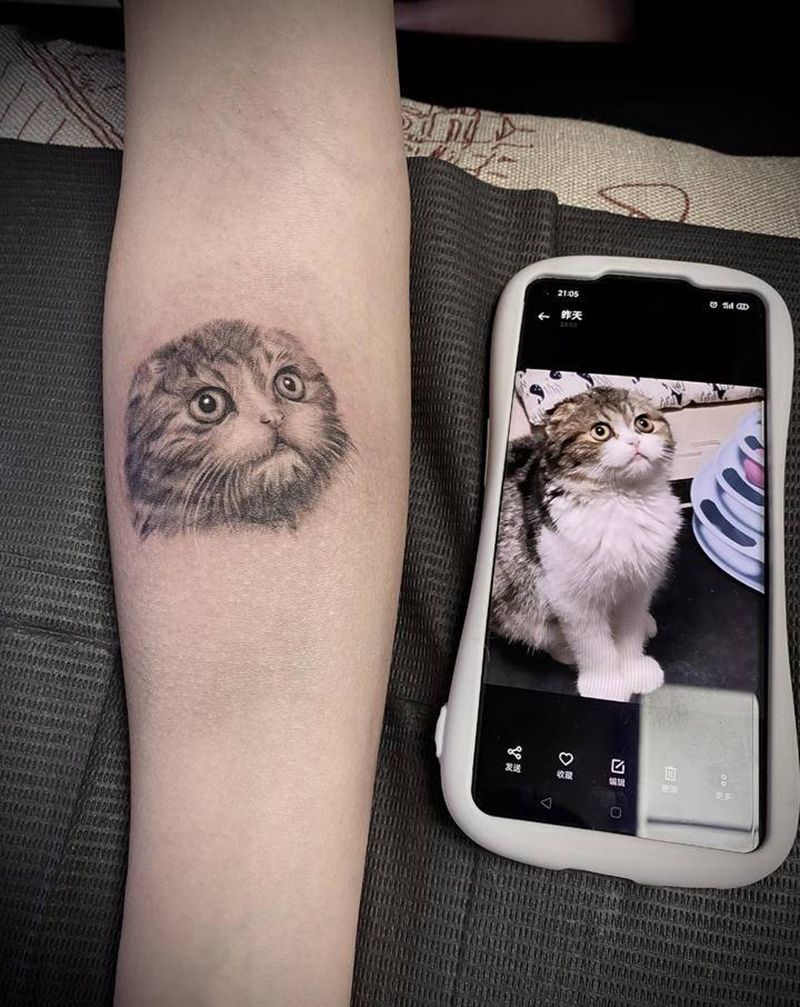 写实猫咪纹身图片_手臂欧美写实点刺纹身图案