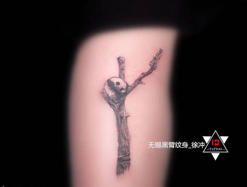 【黑灰写实】·熊猫纹身图片_背部腿部欧美写实几何熊猫遮盖动物纹身图案