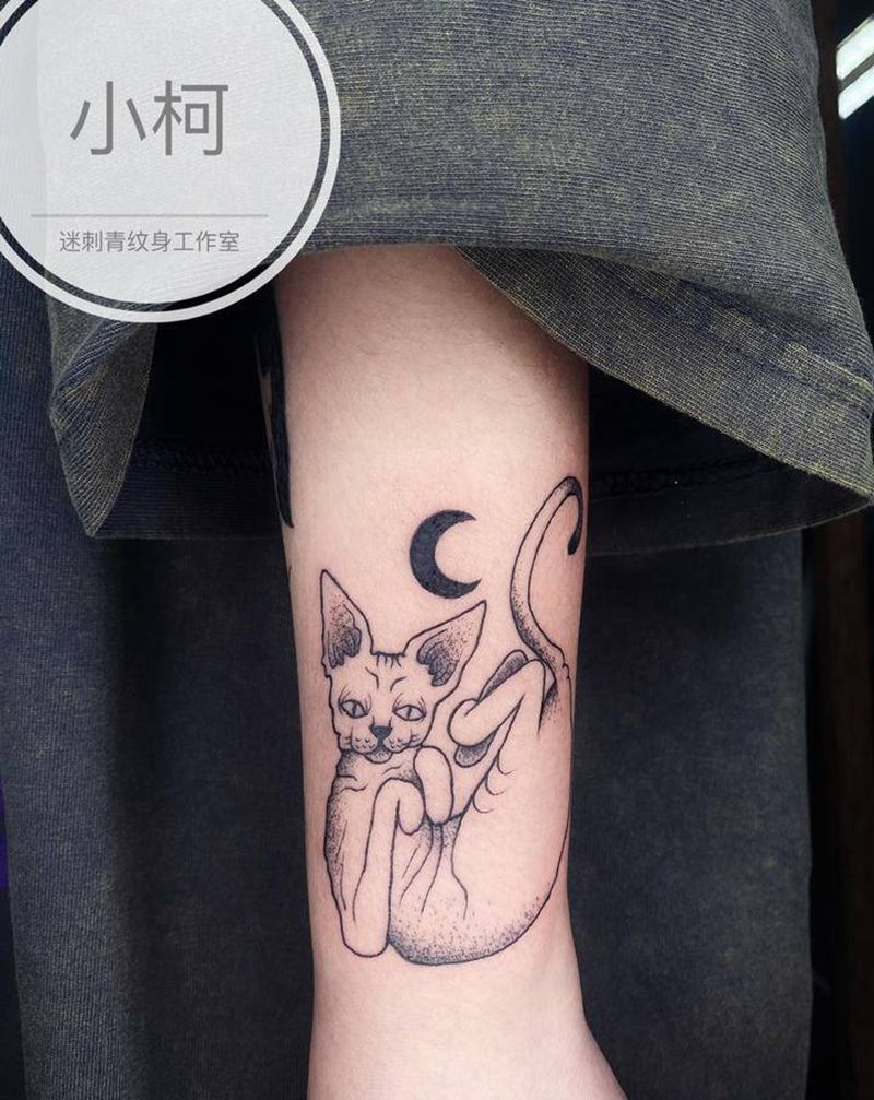 无毛猫纹身图片_手臂几何司芬克斯猫纹身图案