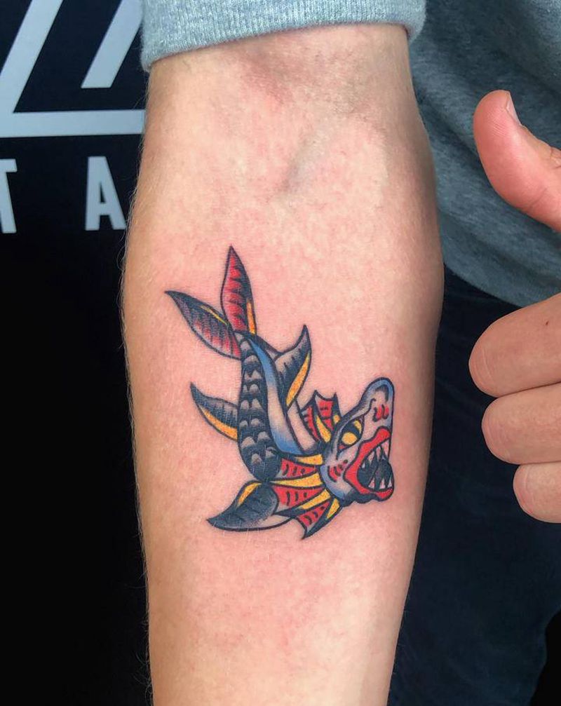 鲨鱼纹身图片_手臂Old School纹身图案