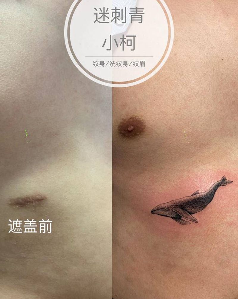 鲸鱼纹身图片_腰部腹部遮盖纹身图案