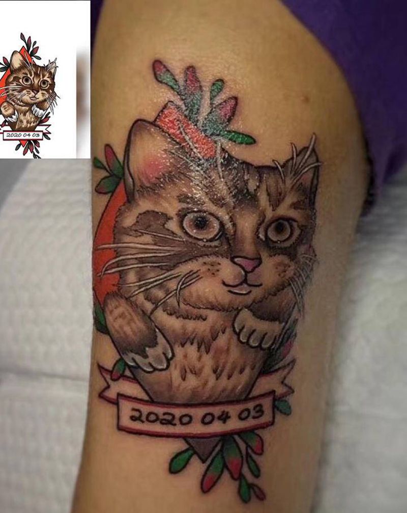 School  猫纹身图片_手臂纹身图案