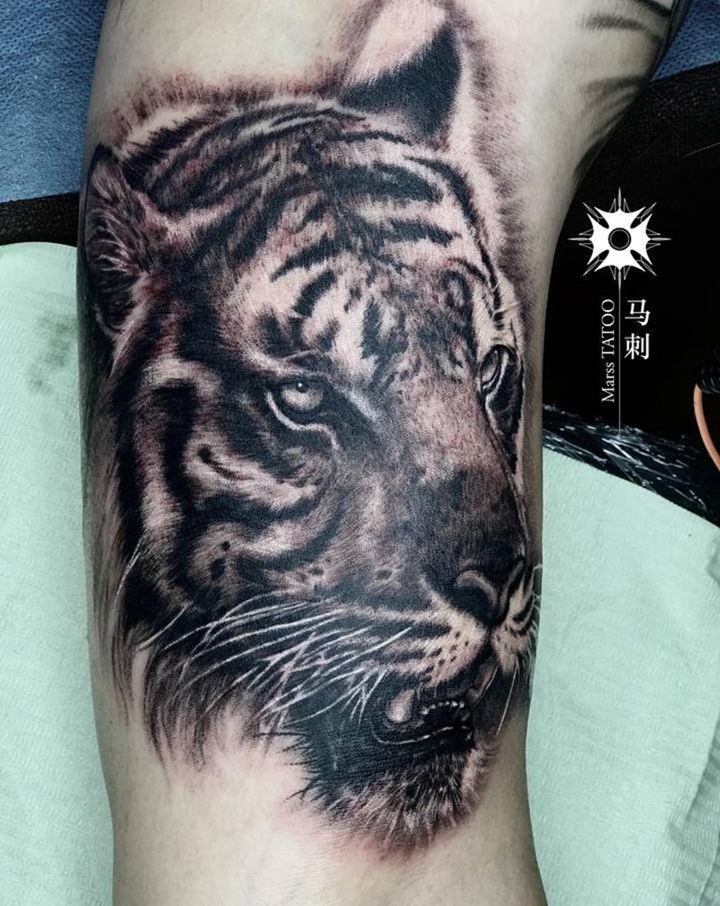 沉稳的虎纹身图片_手臂纹身图案