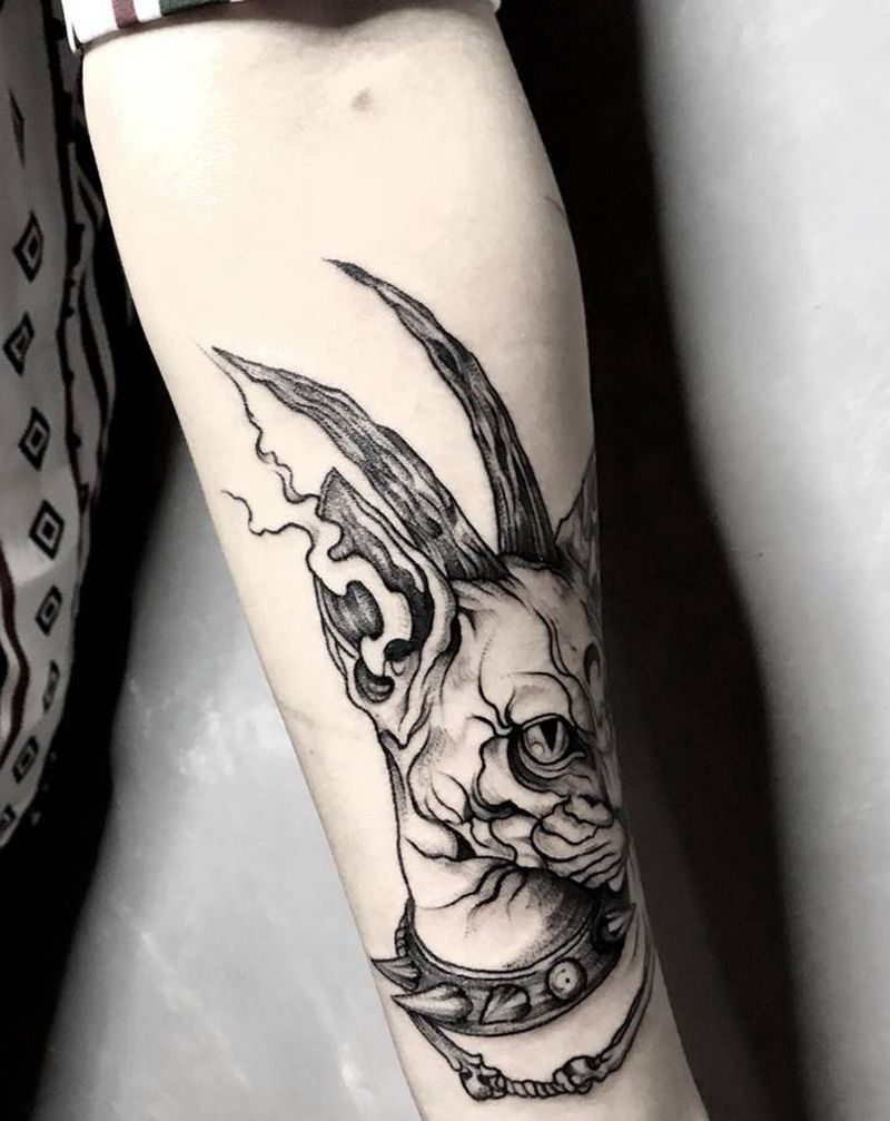 无毛猫纹身图片_手臂猫纹身图案