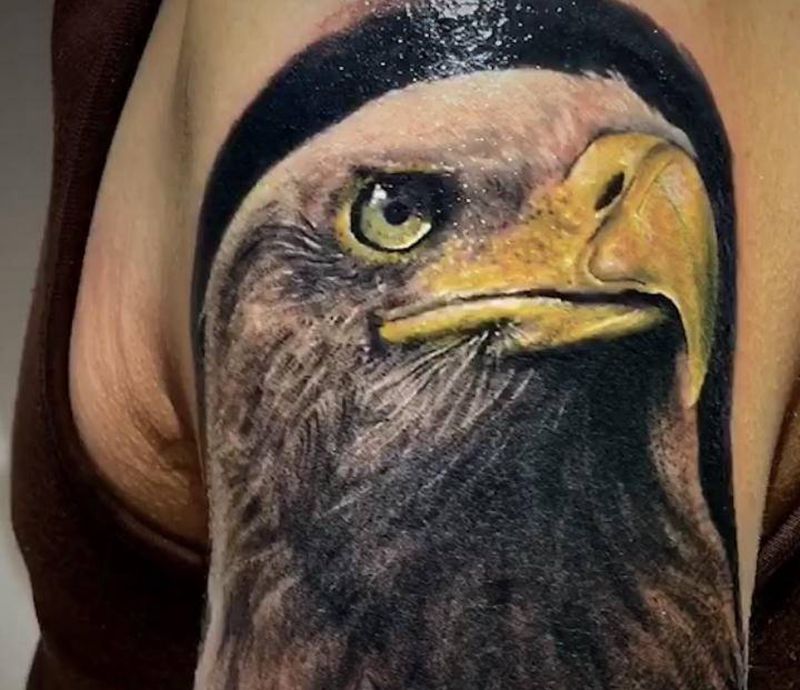 鹰纹身图片_手臂欧美写实纹身图案