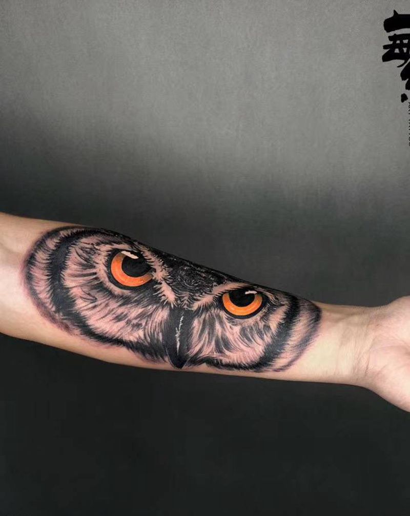 猫头鹰纹身图片_手臂欧美写实猫头鹰纹身图案
