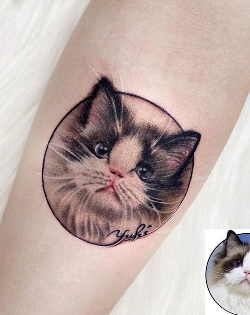 ［宠物猫写实］·私人定制精品纹身图片_手臂欧美写实水彩猫纹身图案