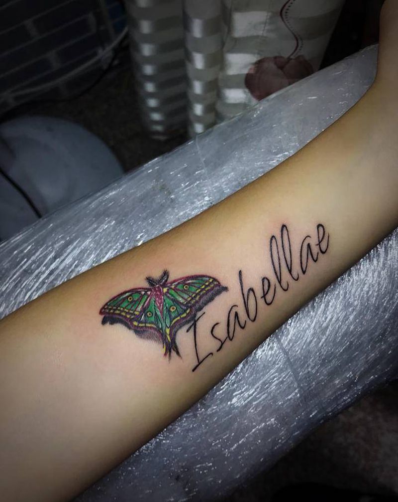 依莎贝拉蝶纹身图片_手臂纹身图案