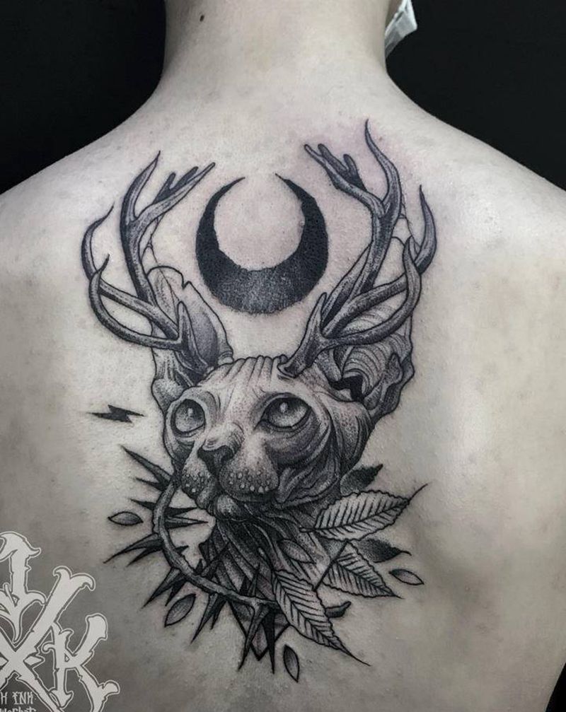 后背 无毛猫 鹿纹身图片_背部点刺几何无毛猫 鹿纹身图案