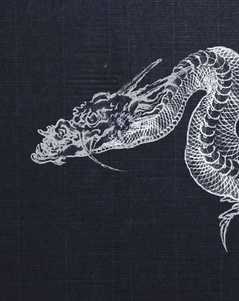 龙纹身图片_龙纹身图案