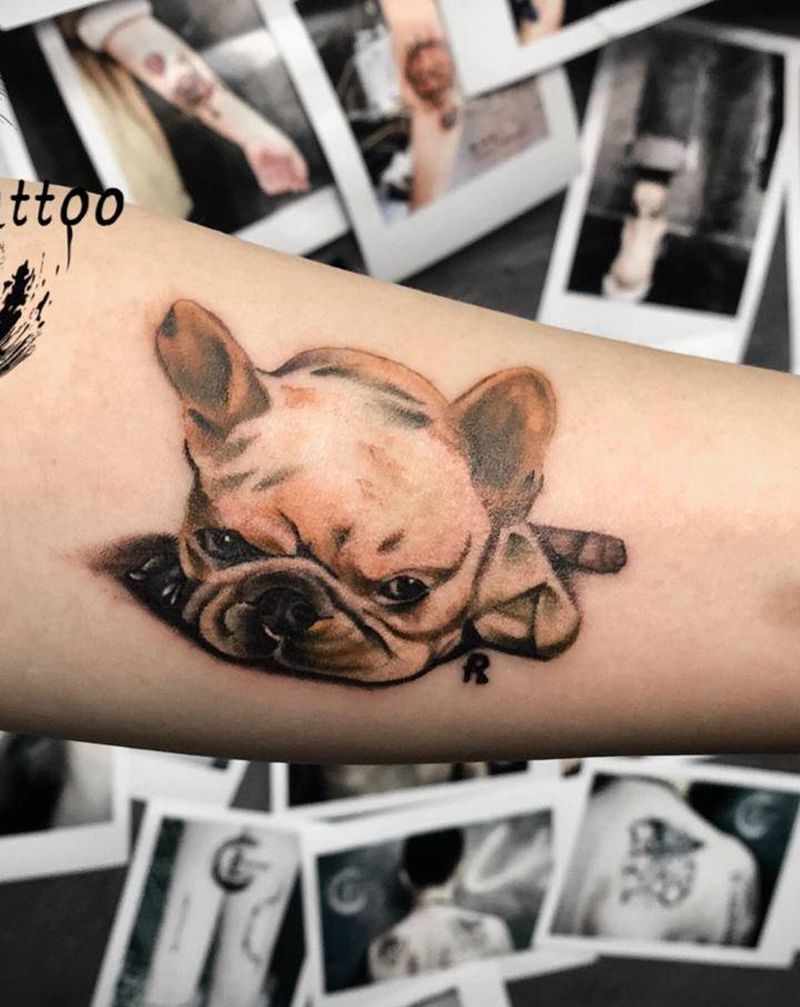 法斗纹身图片_手臂欧美写实纹身图案