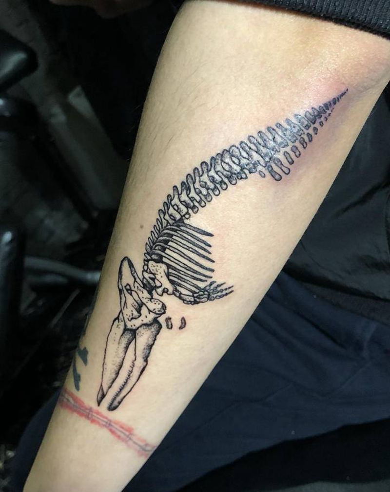 化石纹身纹身图片_手臂腿部纹身图案