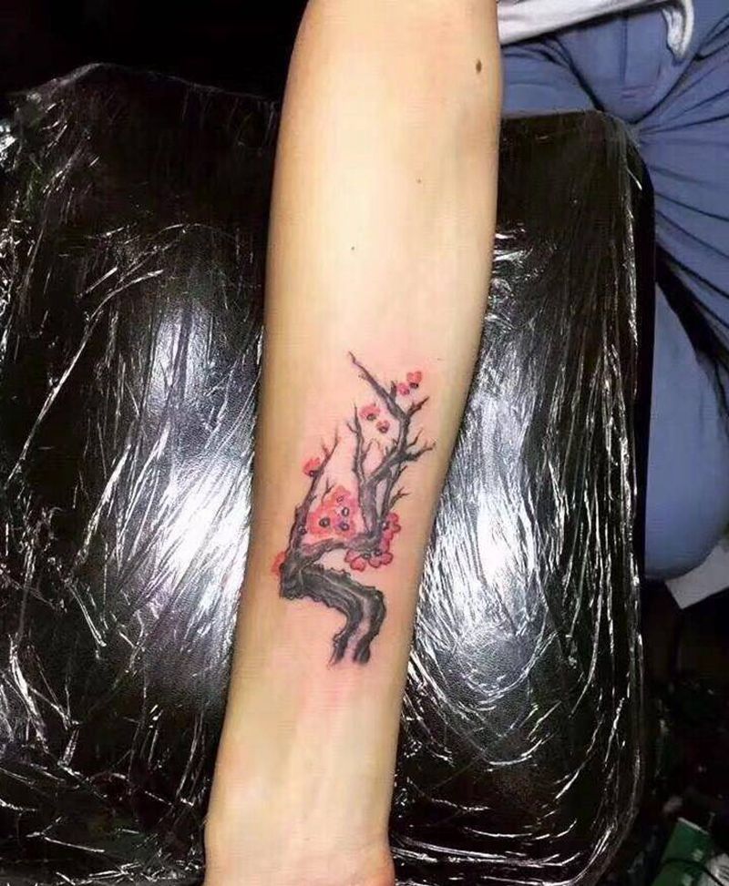 梅花纹身图片_手臂新传统纹身图案