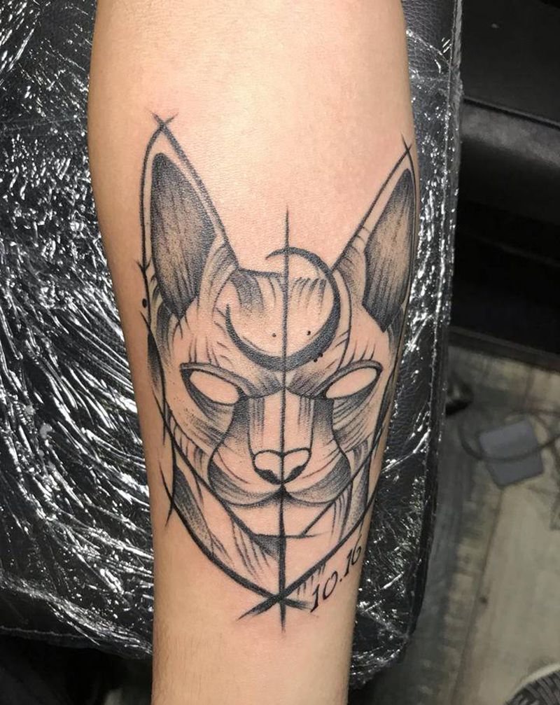 无毛猫纹身图片_手臂纹身图案