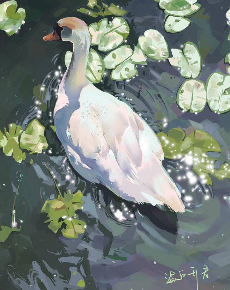 今日习作纹身图片_插画设计纹身图案