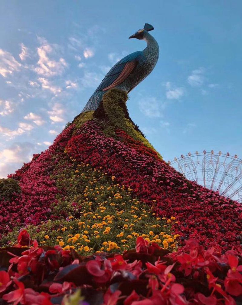 旅行记录纹身图片_旅行刺青纹身图案