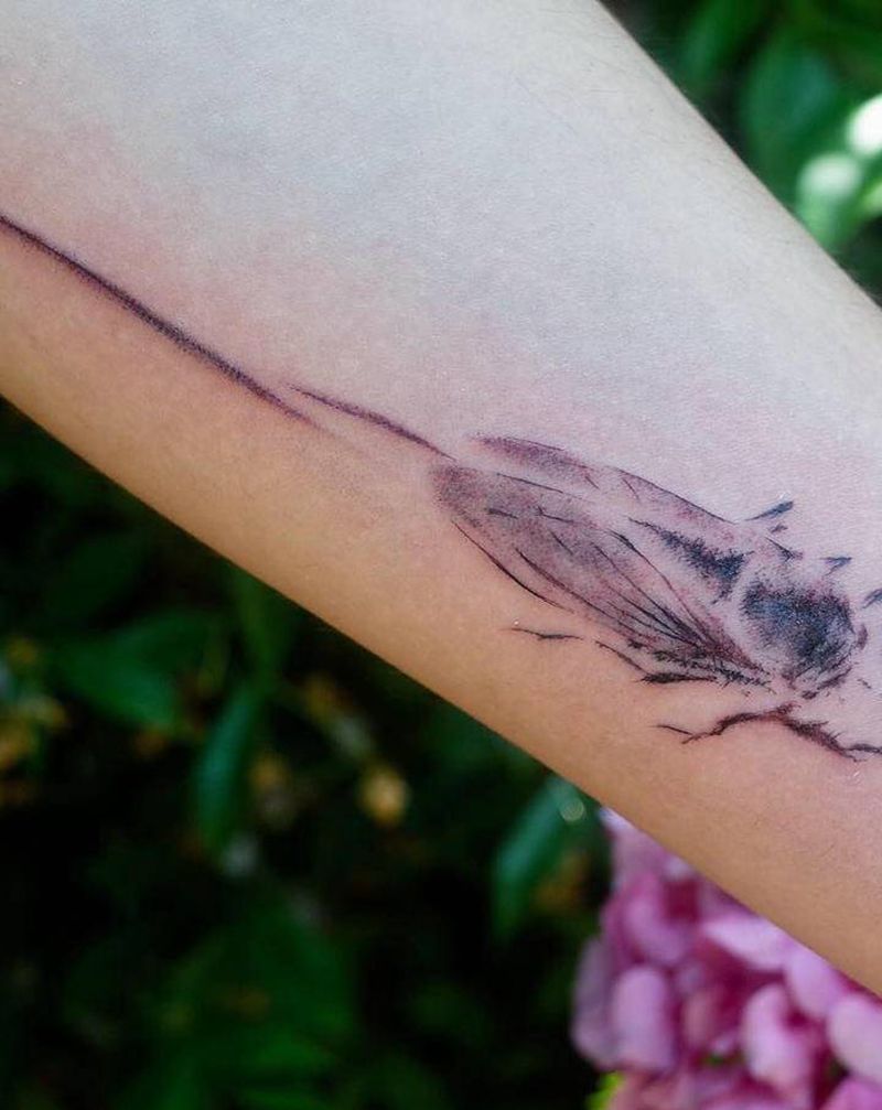 蝉纹身图片_手臂水墨纹身图案