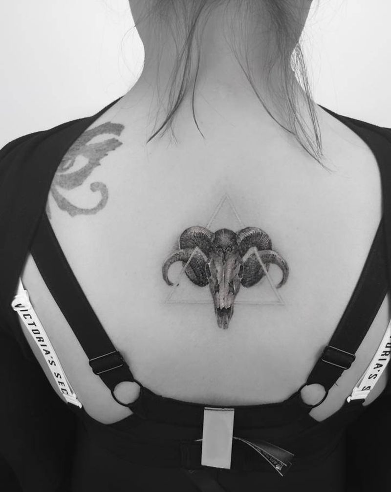 白羊座纹身图片_背部欧美写实羊头头骨骨骼纹身图案