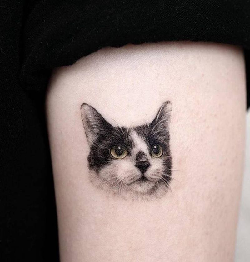 猫纹身图片_手部欧美写实纹身图案