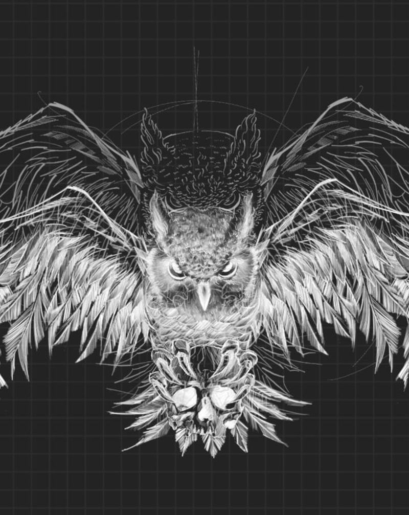 手稿纹身图片_胸部背部欧美写实猫头鹰暗黑纹身图案