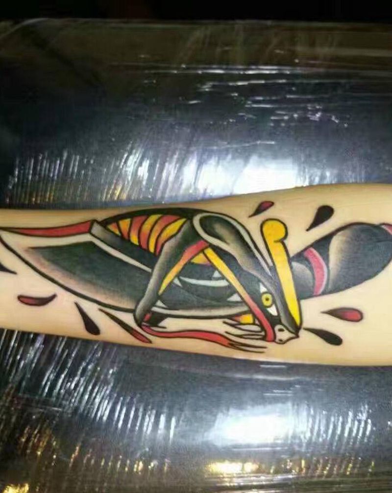 蛇纹身图片_手臂Old School纹身图案