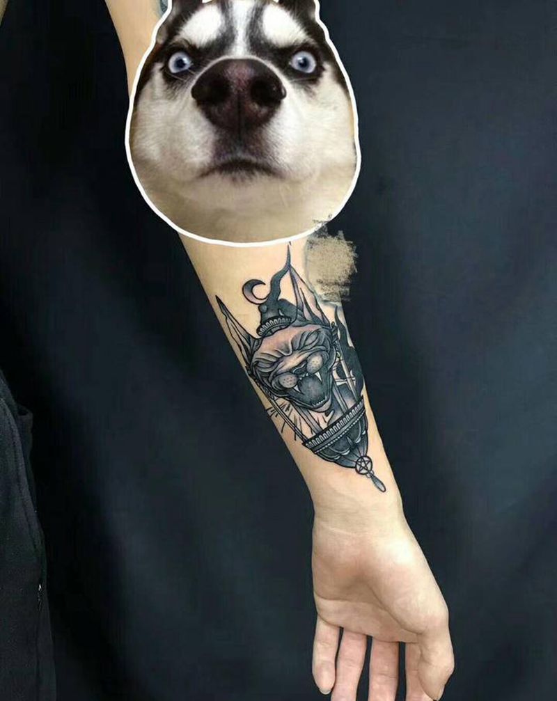 猫纹身图片_手臂纹身图案