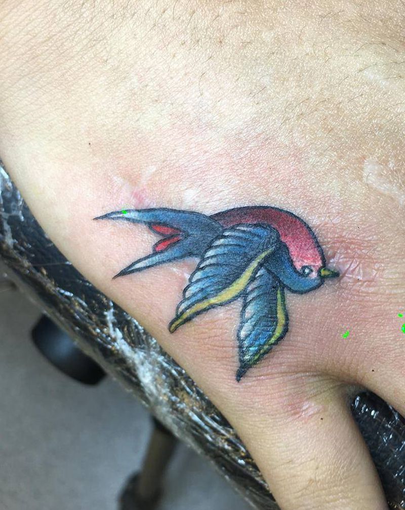 遮盖疤痕燕子纹身图片_手部Old School燕子纹身图案