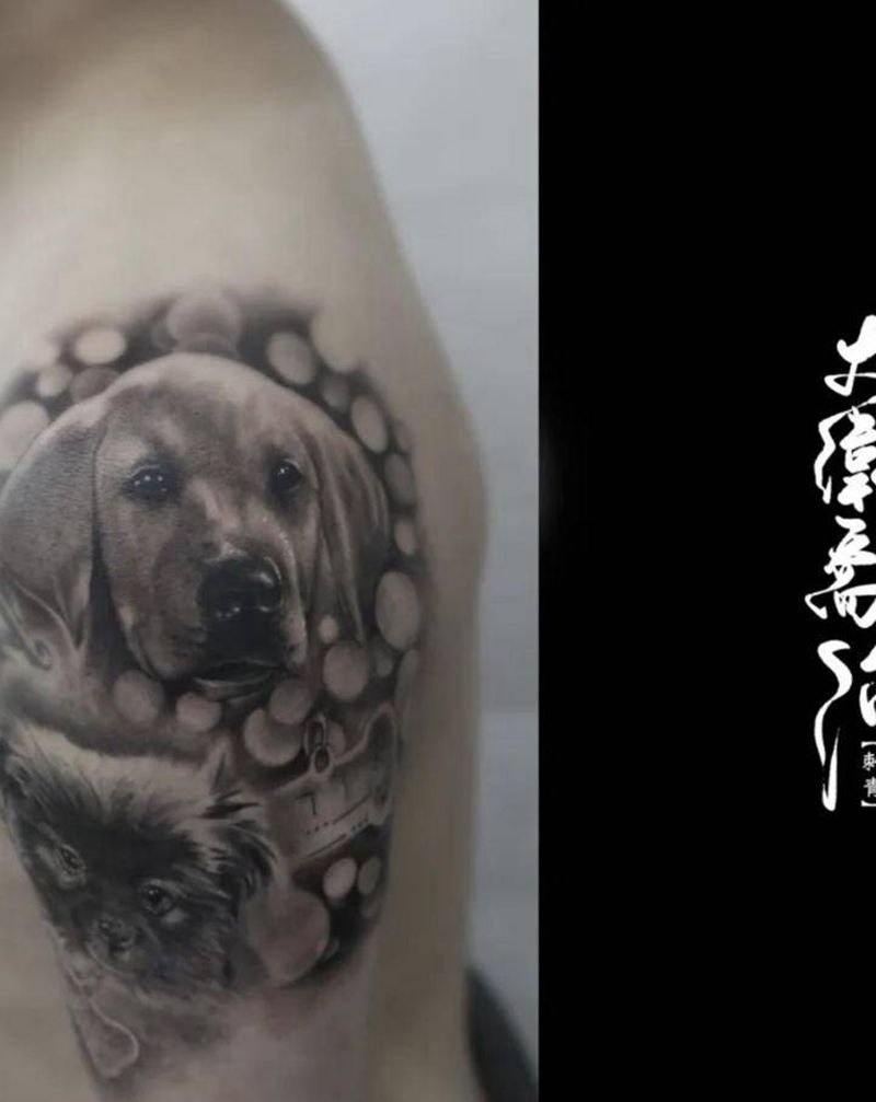 宠物 猫猫狗狗纹身图片_手臂欧美写实猫猫狗狗纹身图案