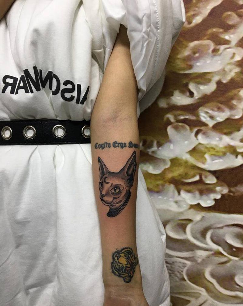 猫纹身图片_手臂新传统纹身图案