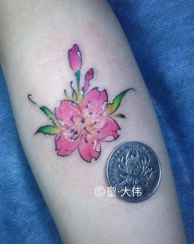 樱花纹身纹身图片_手臂樱花纹身图案