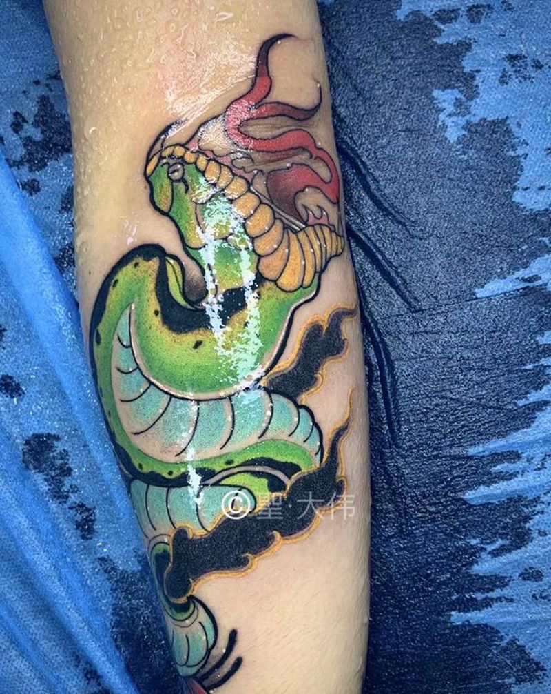 蛇纹身纹身图片_手臂Old SchoolNew School蛇纹身图案