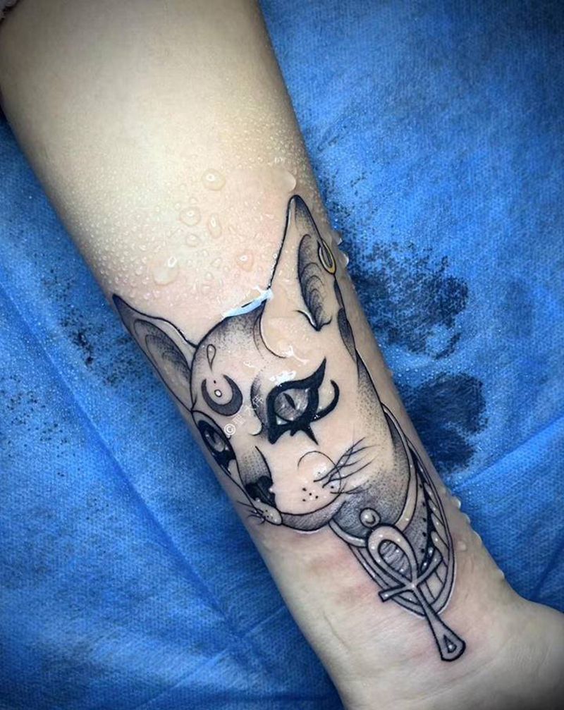 猫纹身纹身图片_手臂小图纹身图案