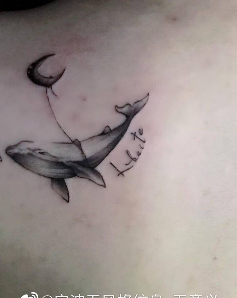 鲸鱼纹身图片_背部纹身图案