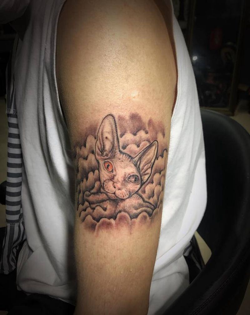 猫纹身图片_手臂欧美写实猫写实纹身图案