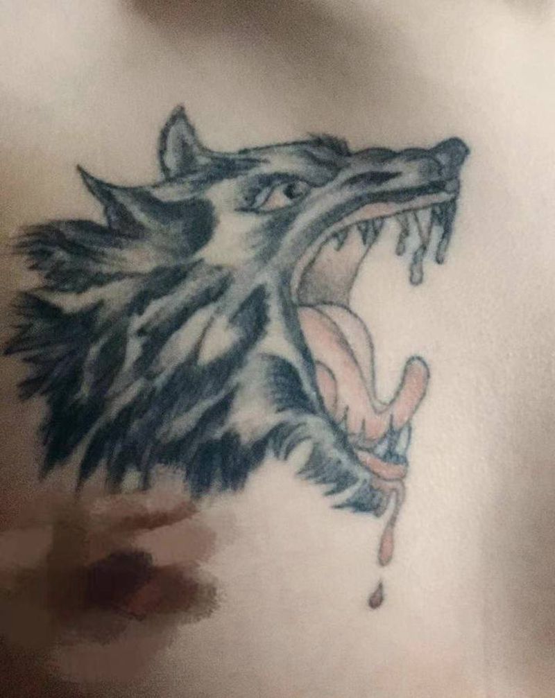 遮盖狼头纹身图片_胸部唐狮纹身图案