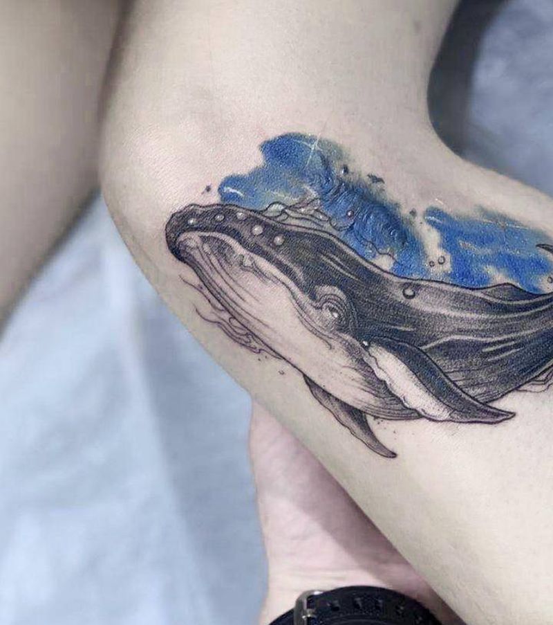 鲸纹身图片_鲸遮盖疤痕纹身图案